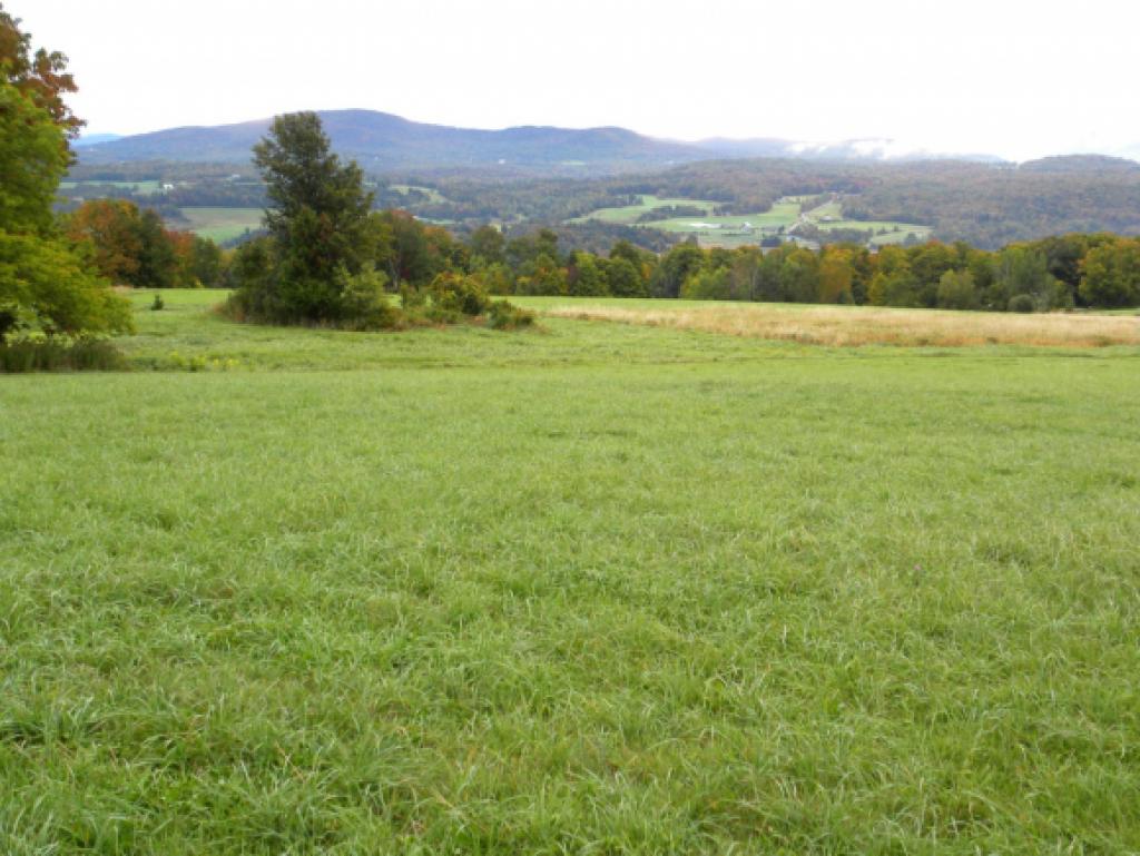 Off Lake Region Road