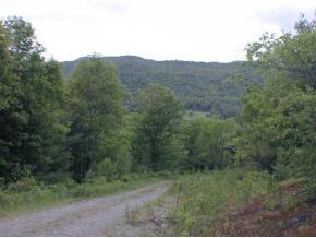 OFF River Road