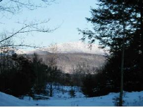 Off Silver Ridge Rd.