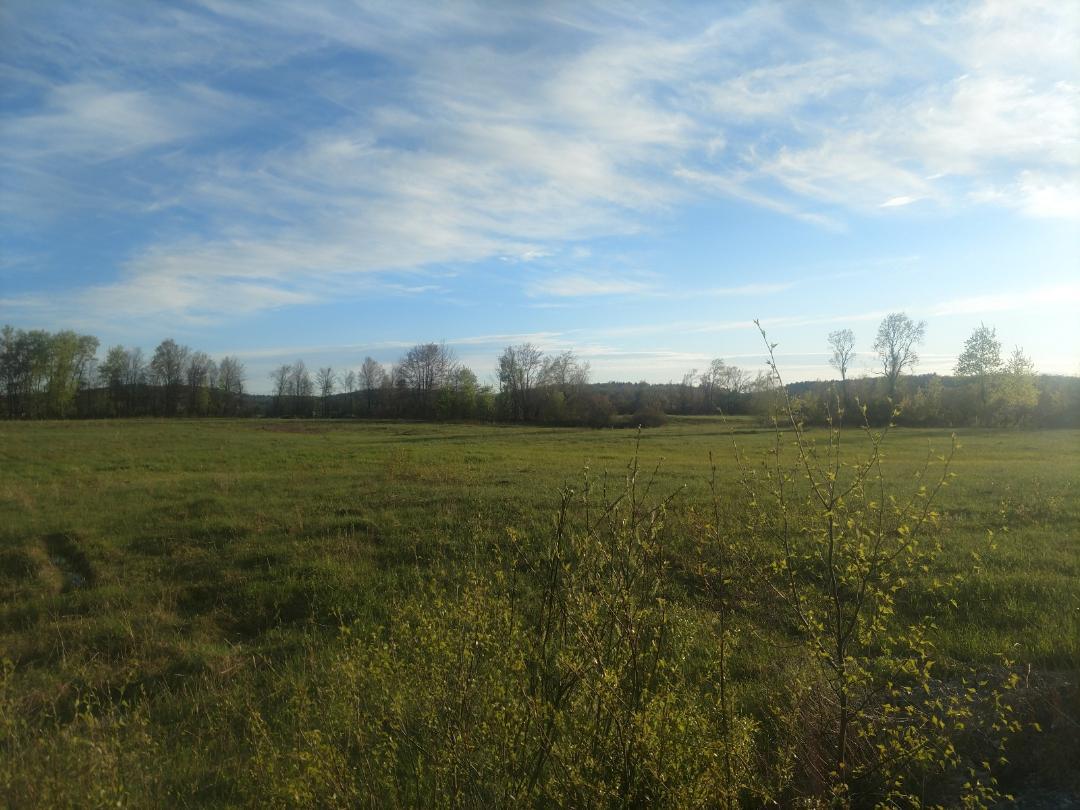 Off South Road