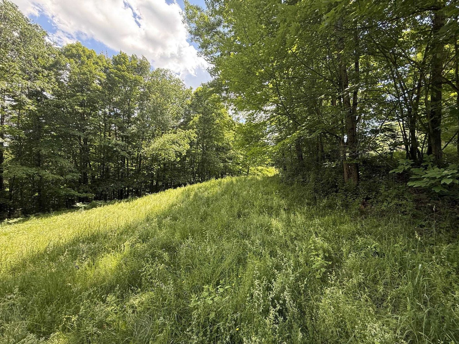 On Daniels Farm Road