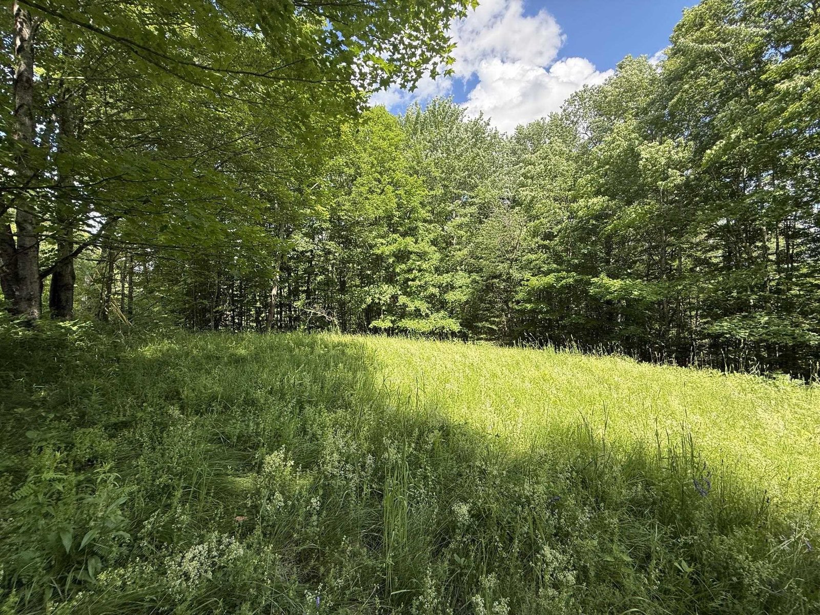 On Daniels Farm Road