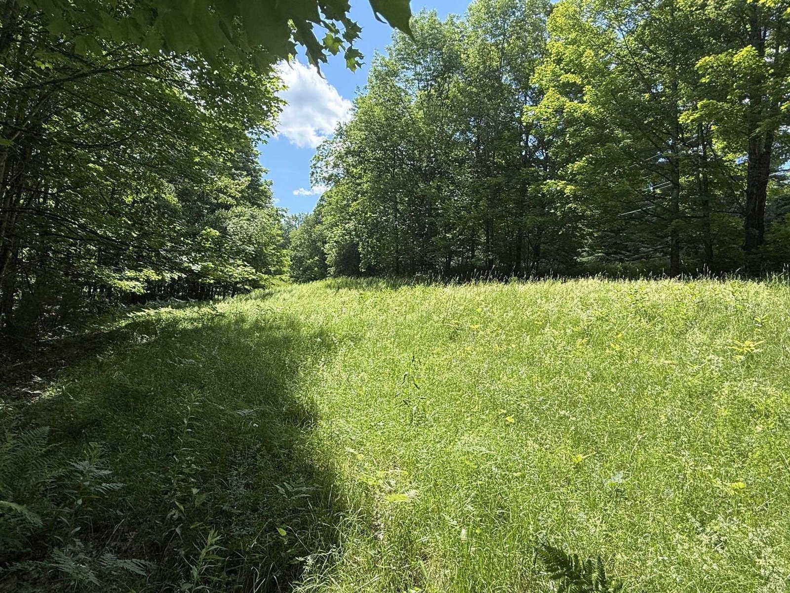 On Daniels Farm Road