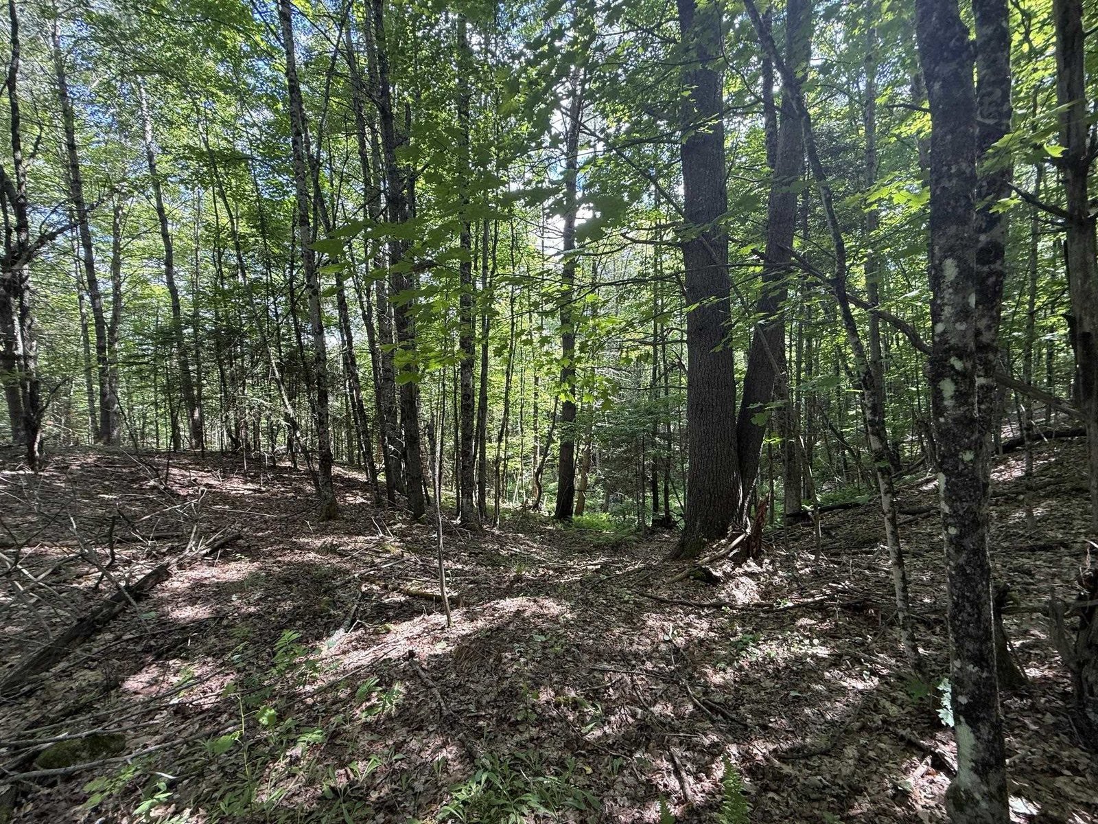 On Daniels Farm Road