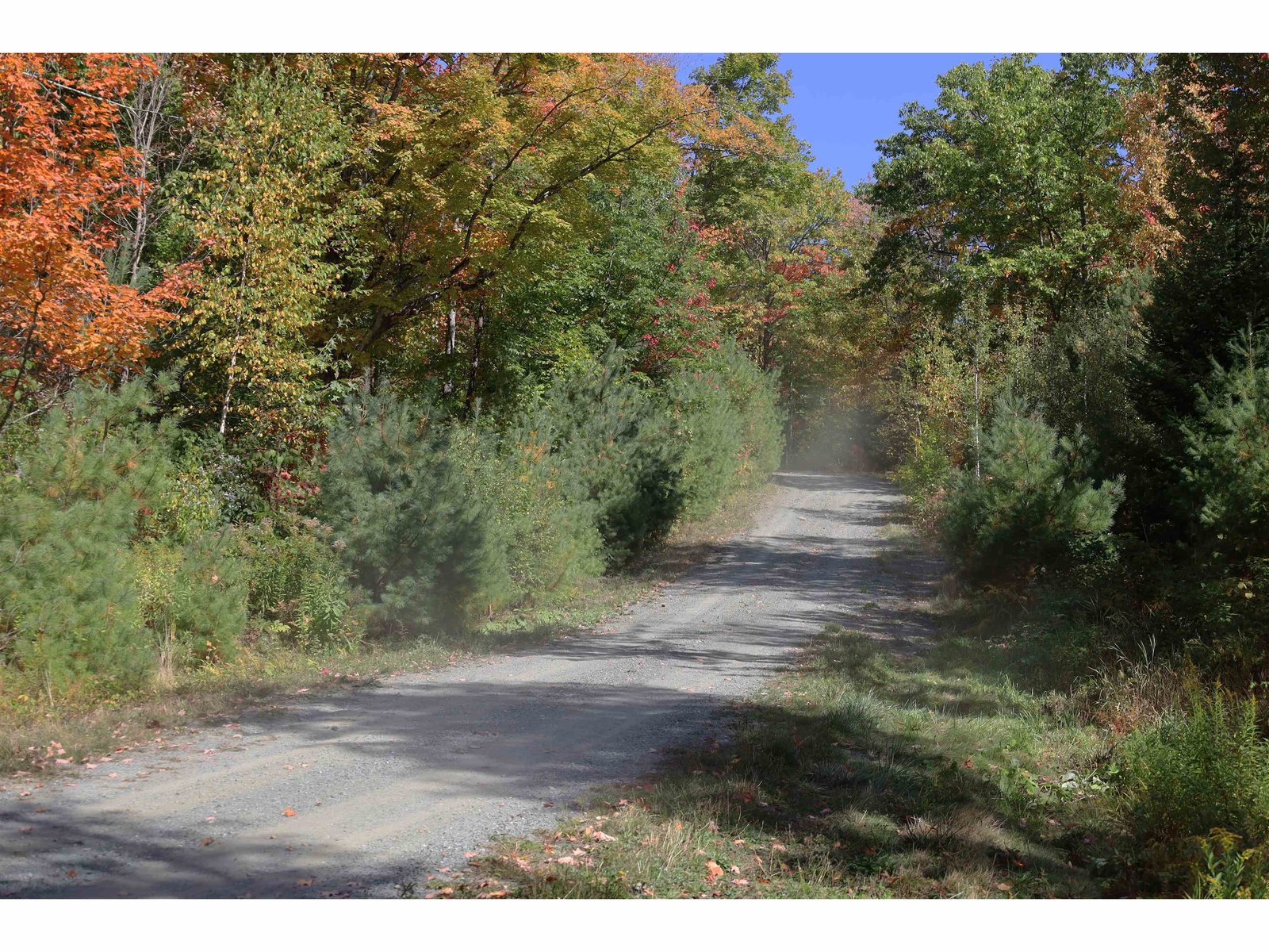 ROW Off Daniels Farm Road