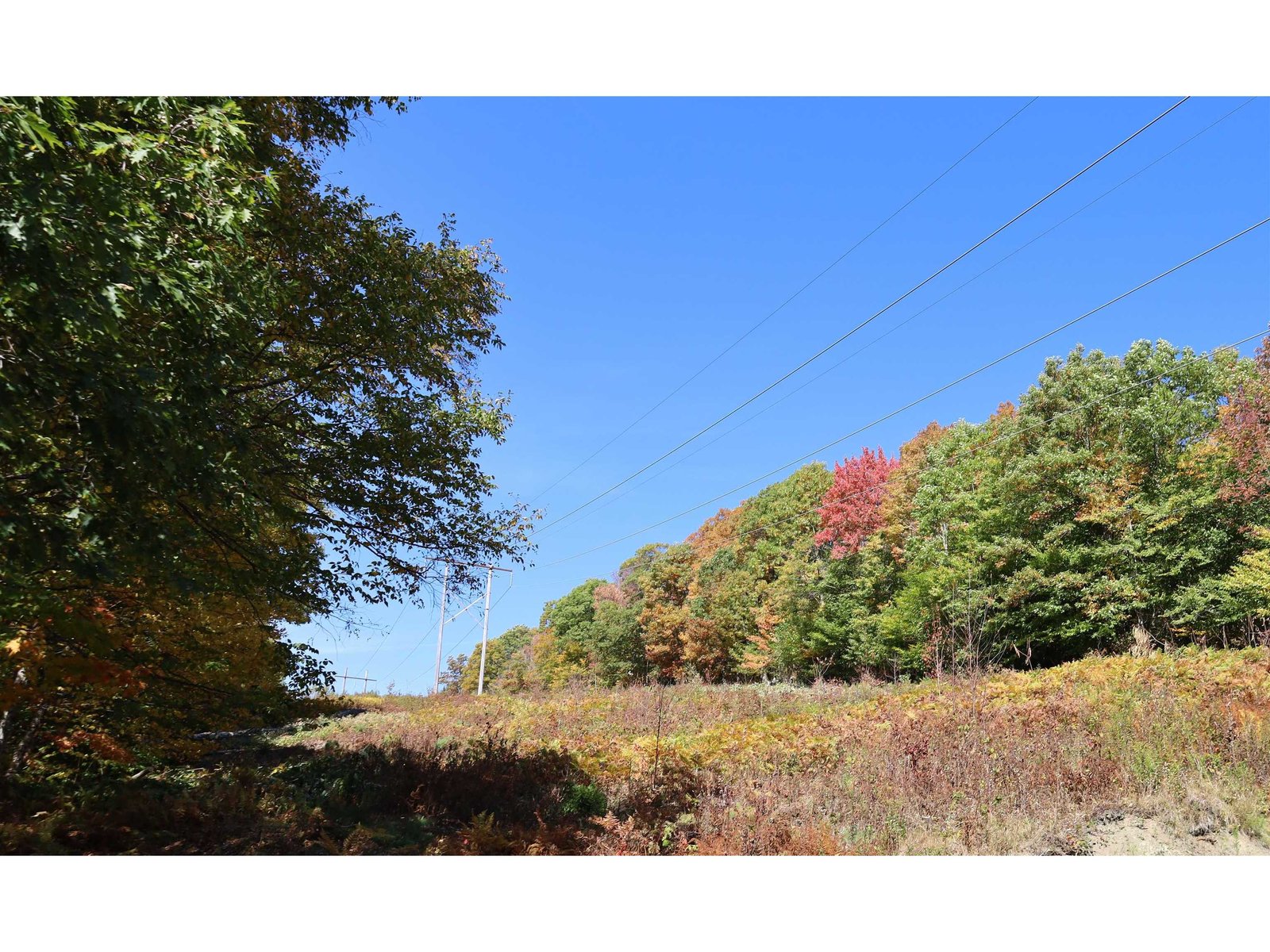 ROW Off Daniels Farm Road