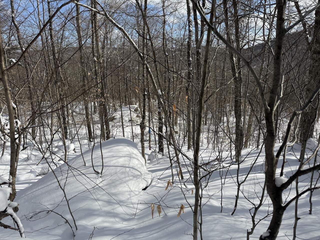S-1c Great Roaring Brook Road