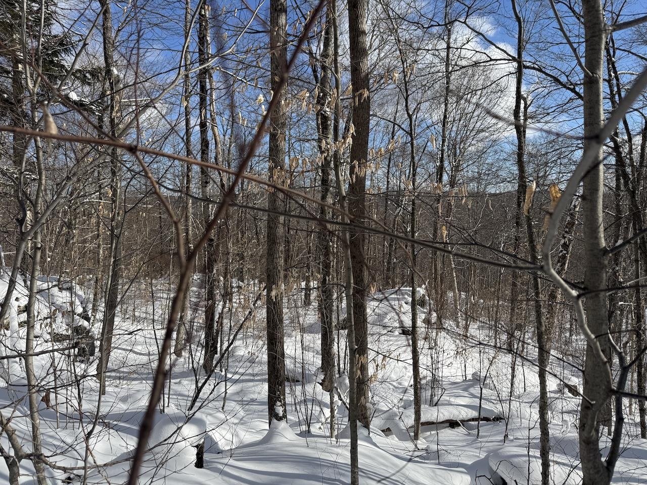 S-1c Great Roaring Brook Road