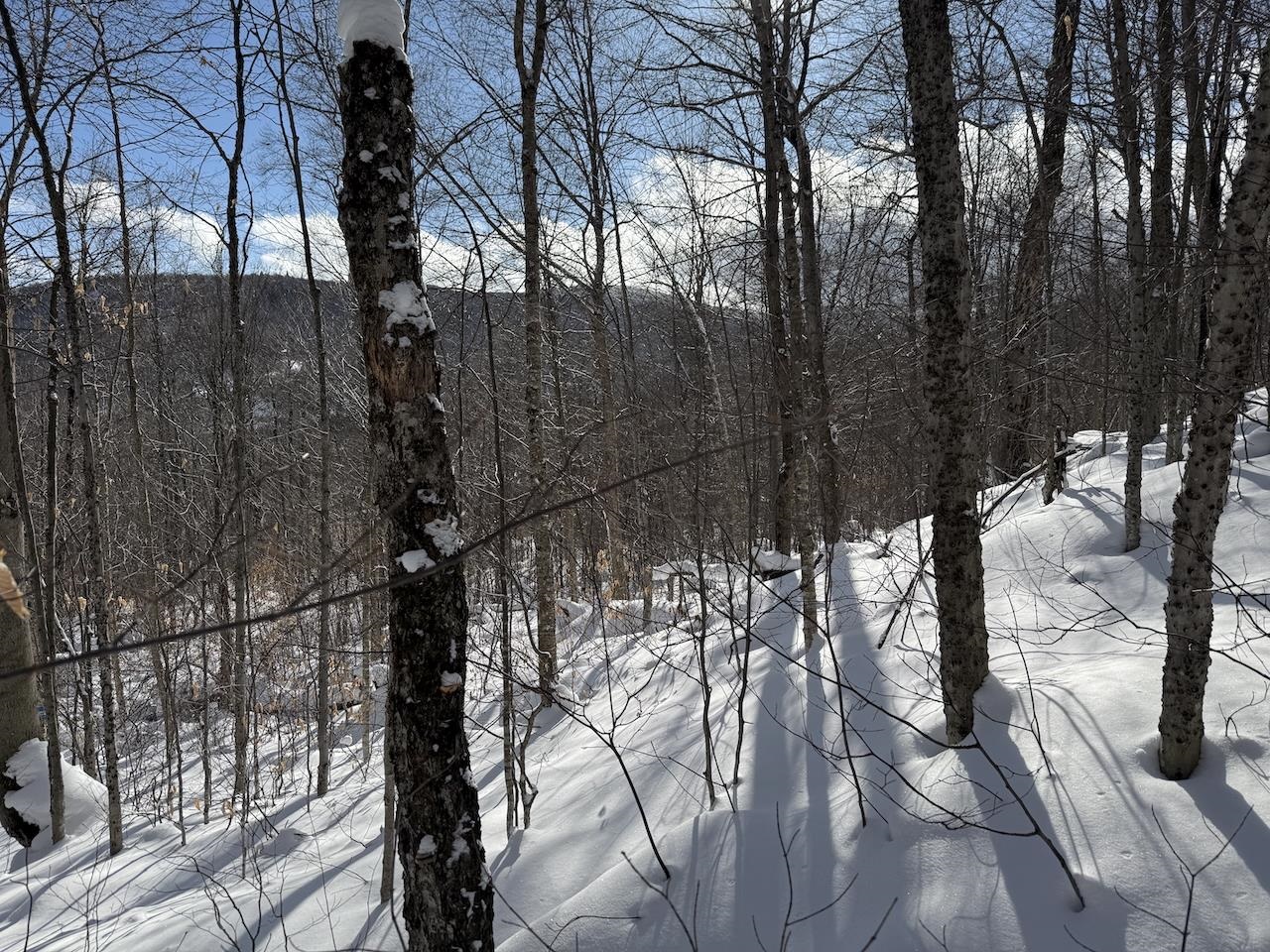 S-1c Great Roaring Brook Road