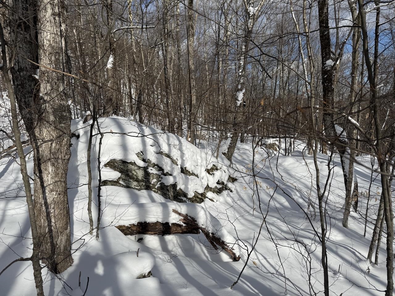 S-1c Great Roaring Brook Road