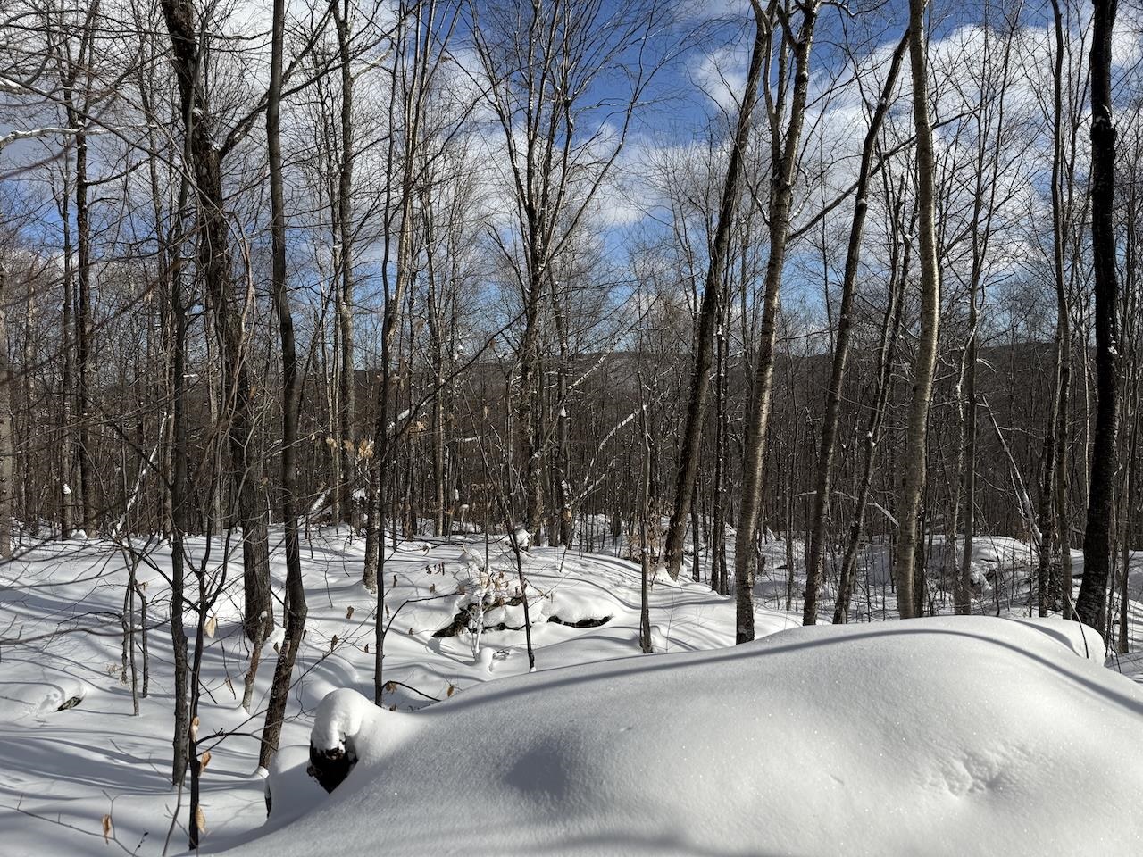 S-1c Great Roaring Brook Road