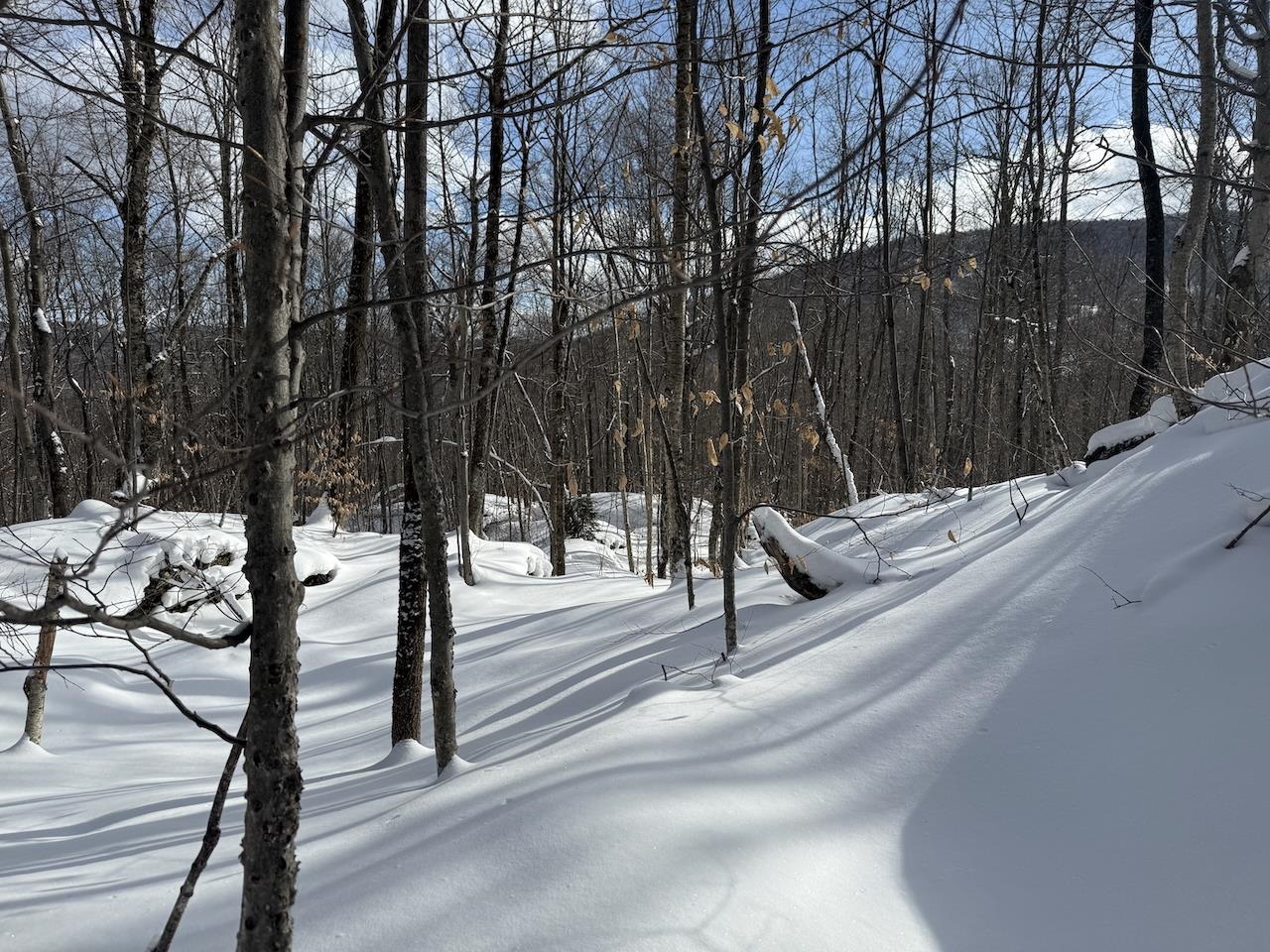 S-1c Great Roaring Brook Road