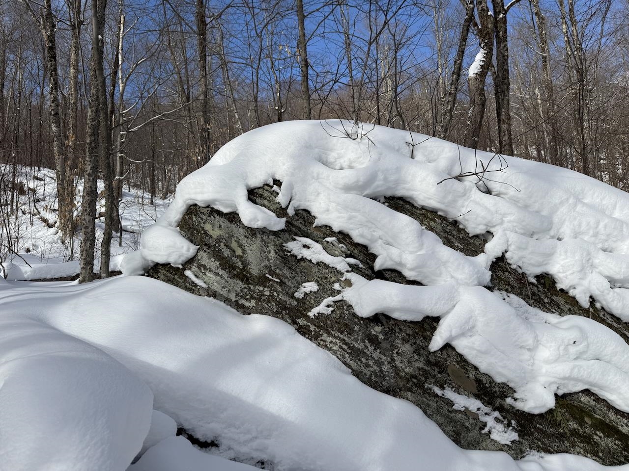 S-1c Great Roaring Brook Road