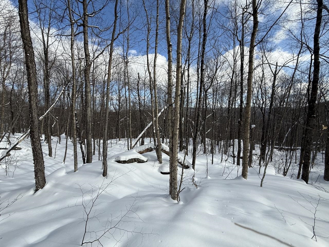 S-1c Great Roaring Brook Road