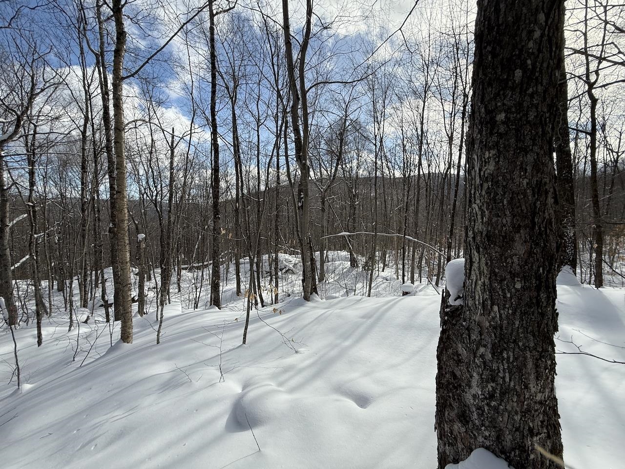 S-1c Great Roaring Brook Road
