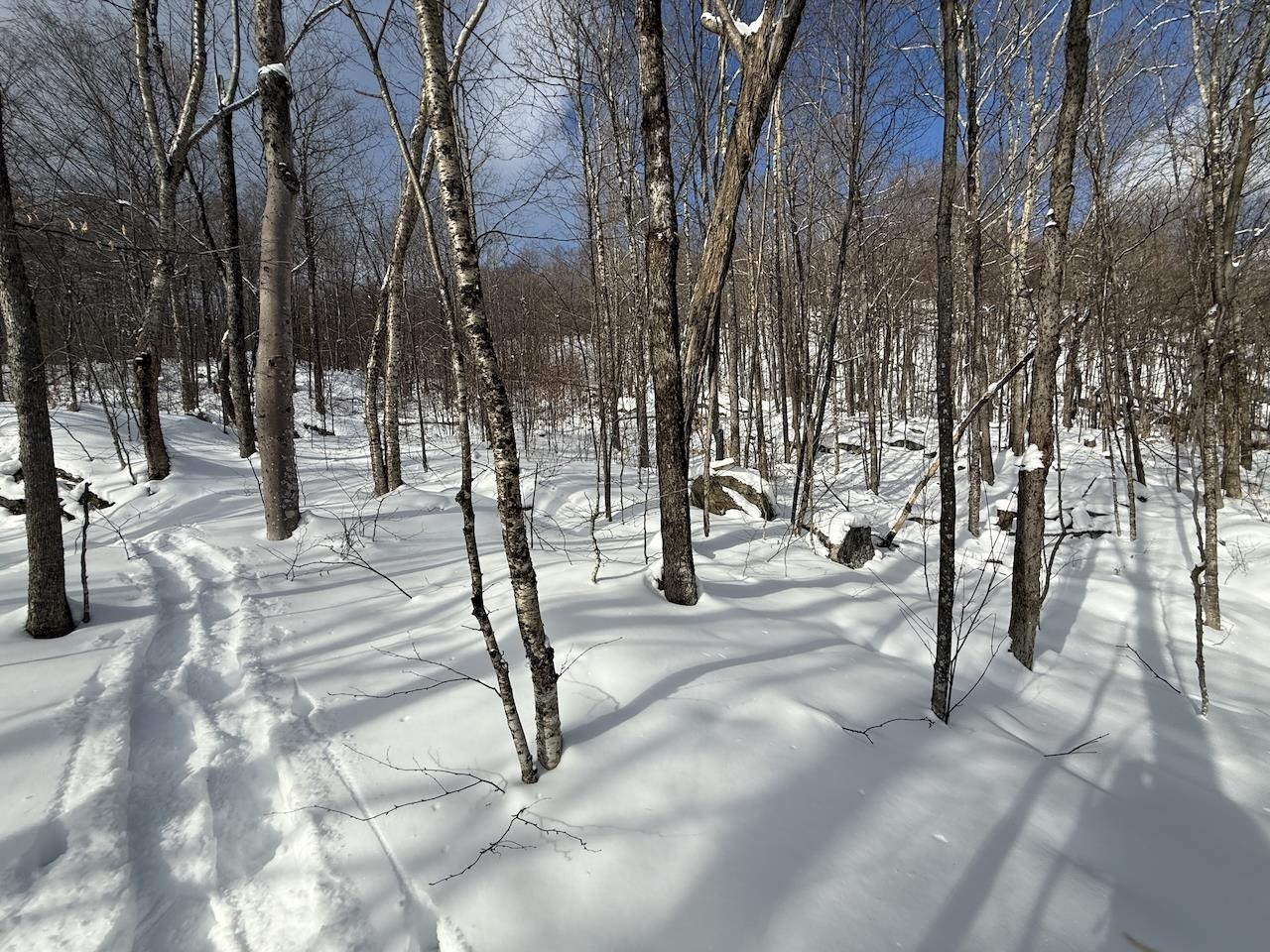 S-1c Great Roaring Brook Road