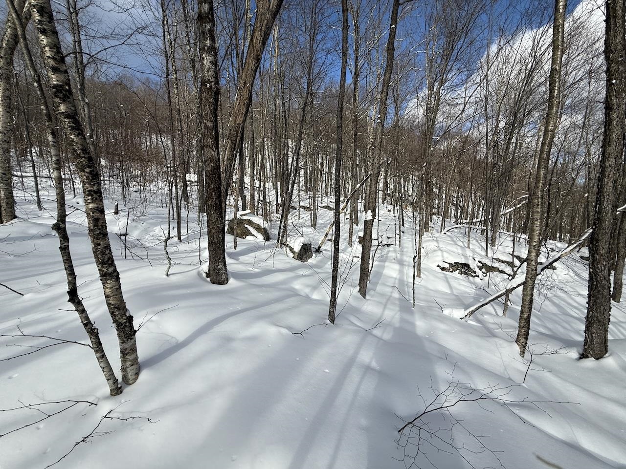 S-1c Great Roaring Brook Road