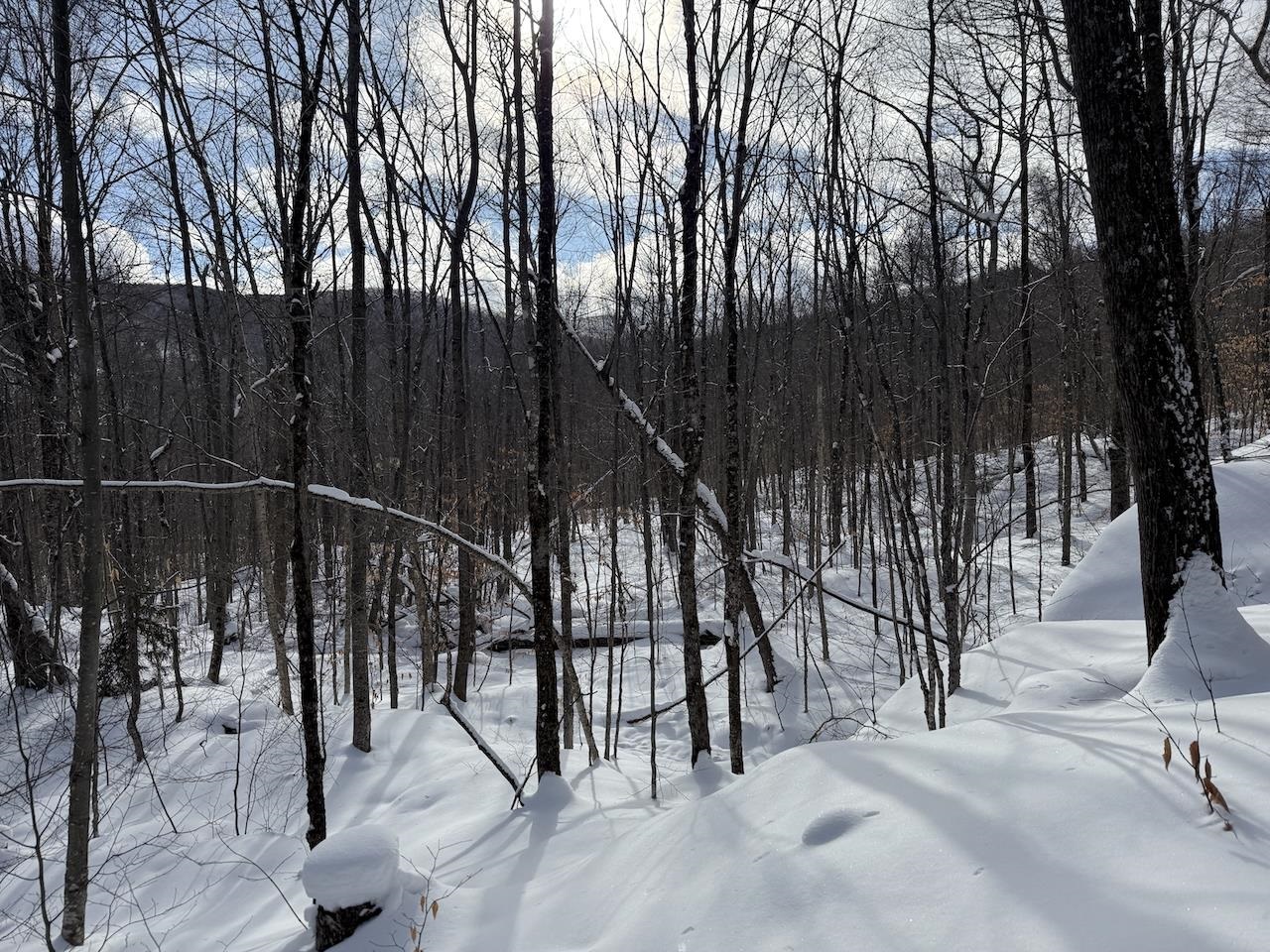 S-1c Great Roaring Brook Road