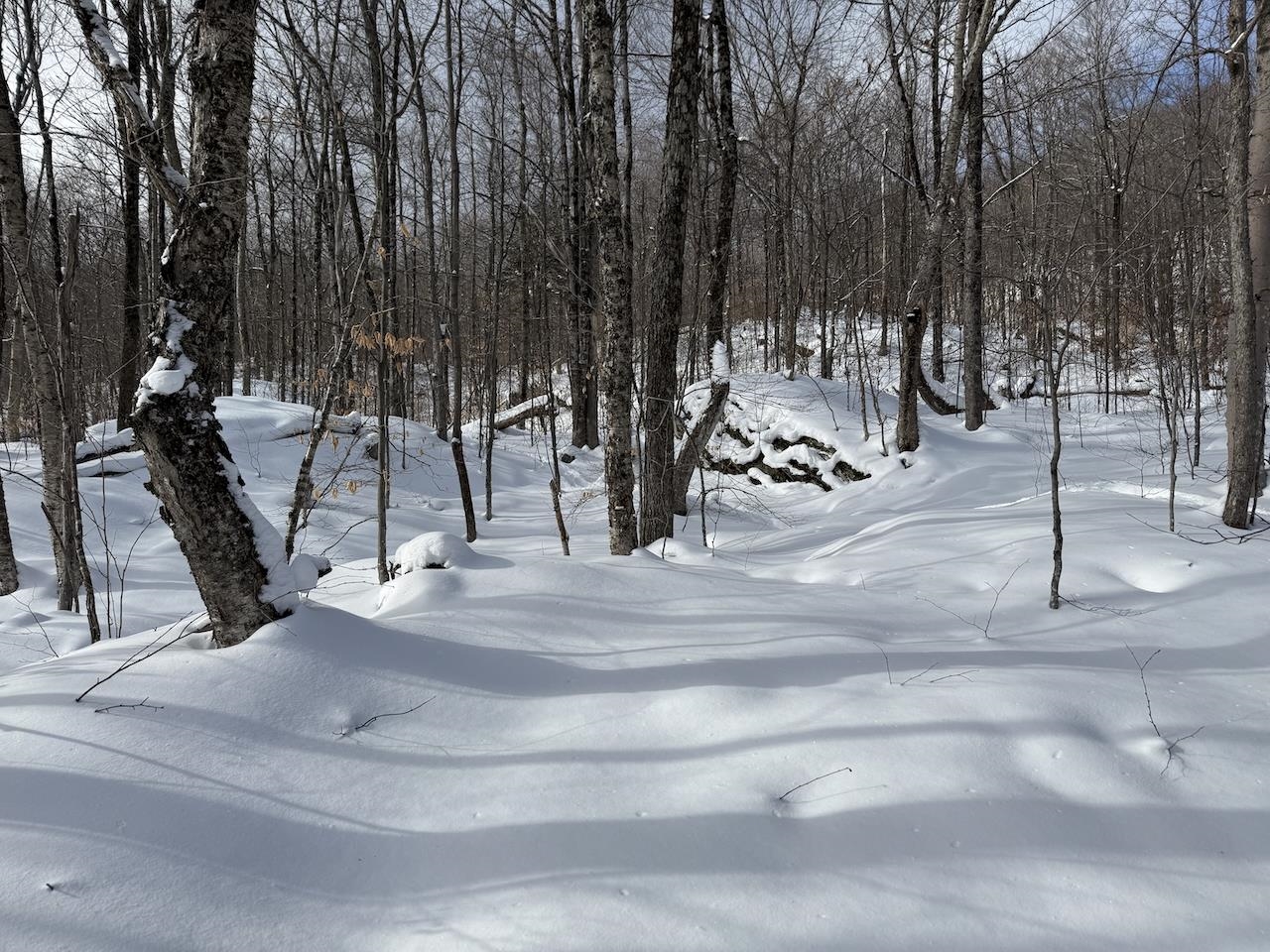 S-1c Great Roaring Brook Road