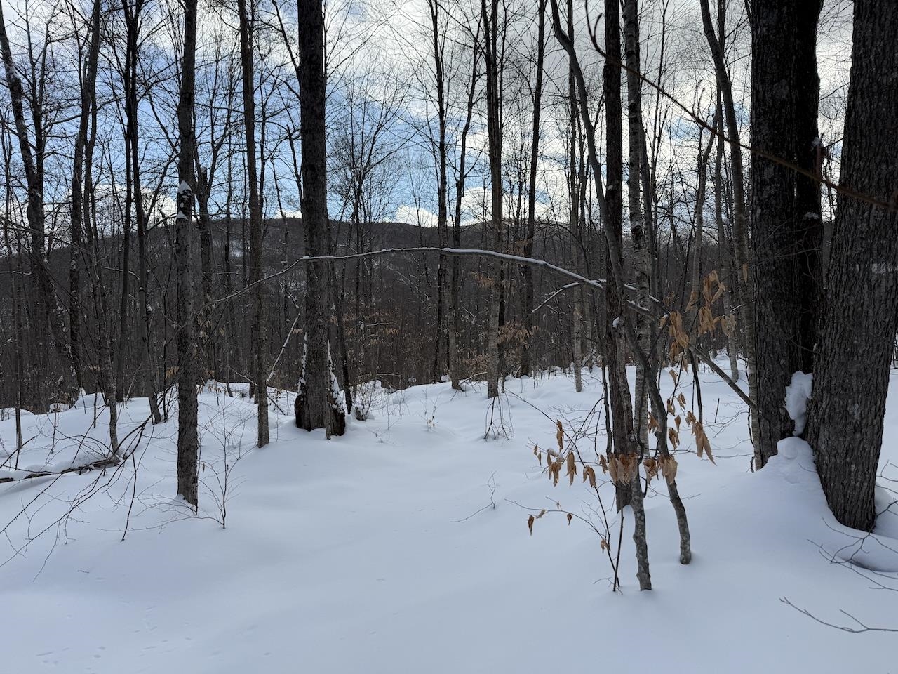 S-1c Great Roaring Brook Road