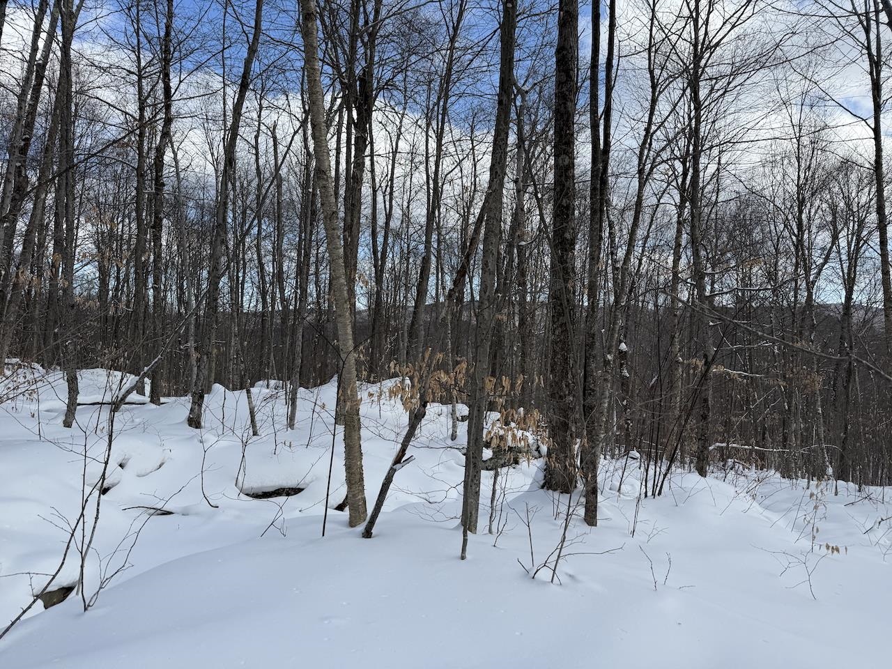 S-1c Great Roaring Brook Road
