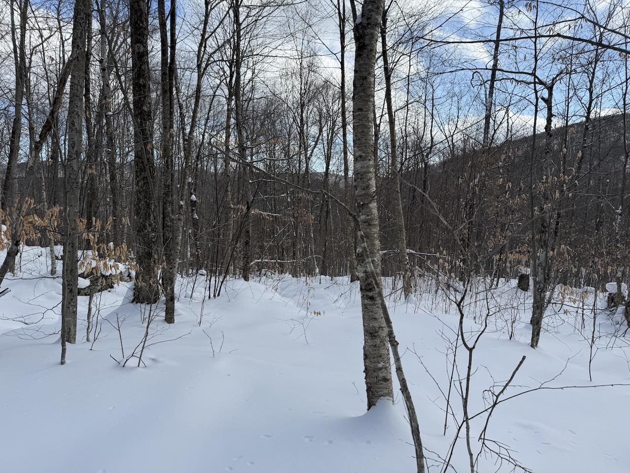 S-1c Great Roaring Brook Road