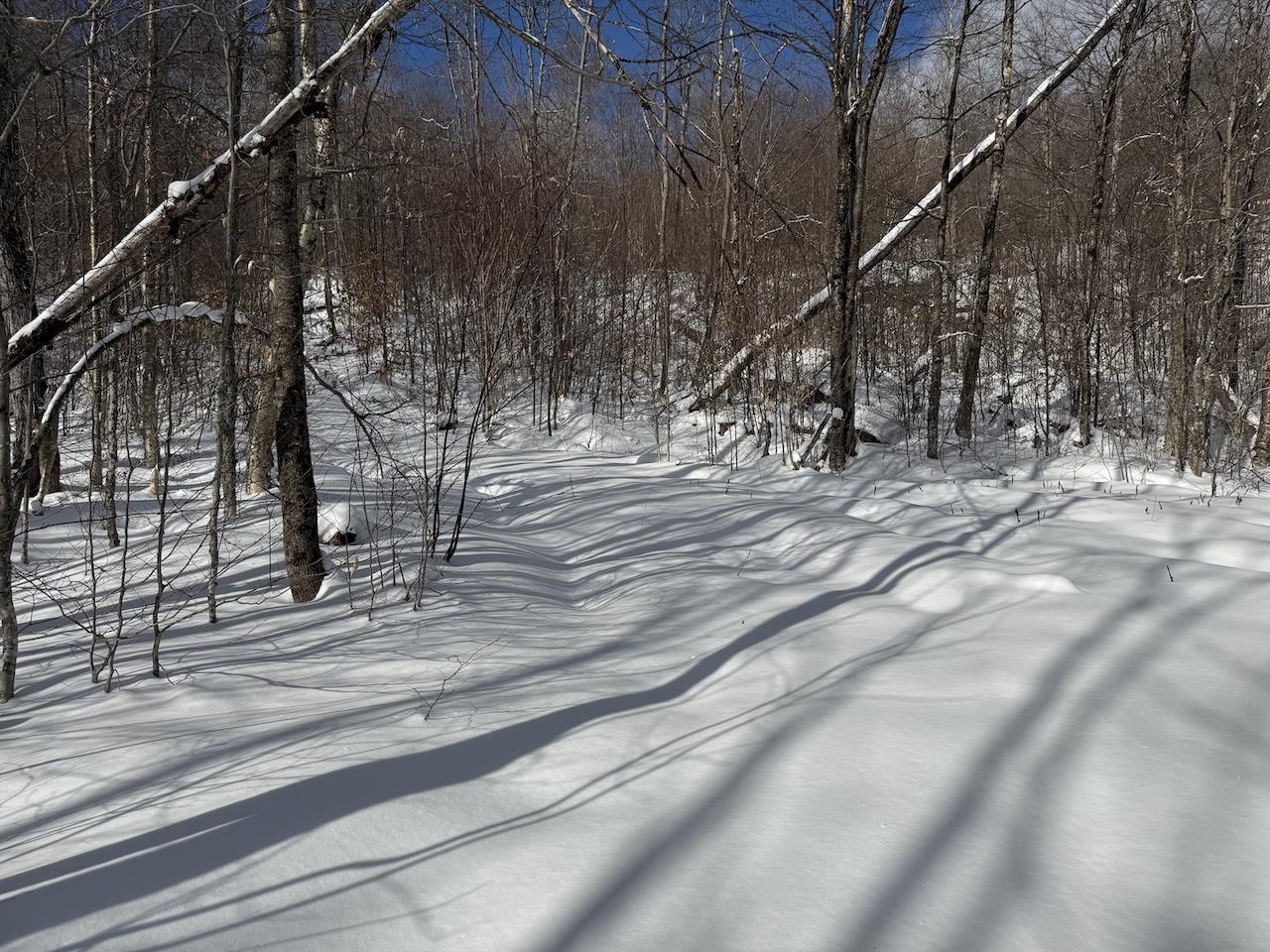 S-1c Great Roaring Brook Road