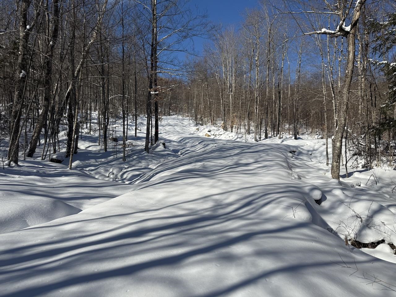 S-1c Great Roaring Brook Road
