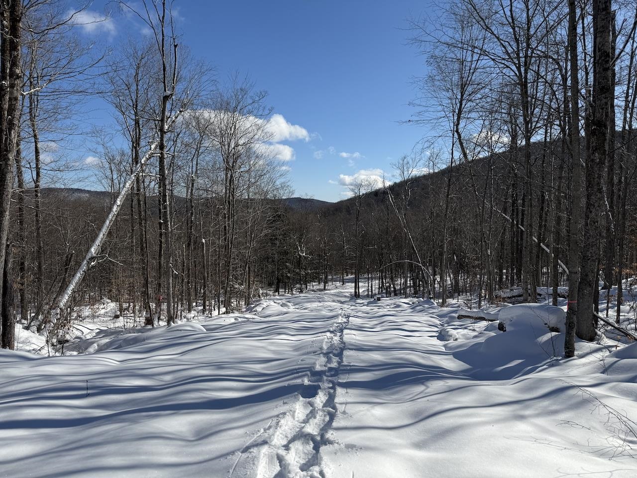 S-1c Great Roaring Brook Road
