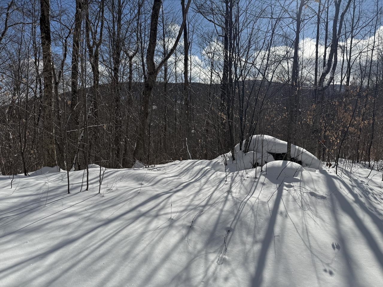 S-1c Great Roaring Brook Road