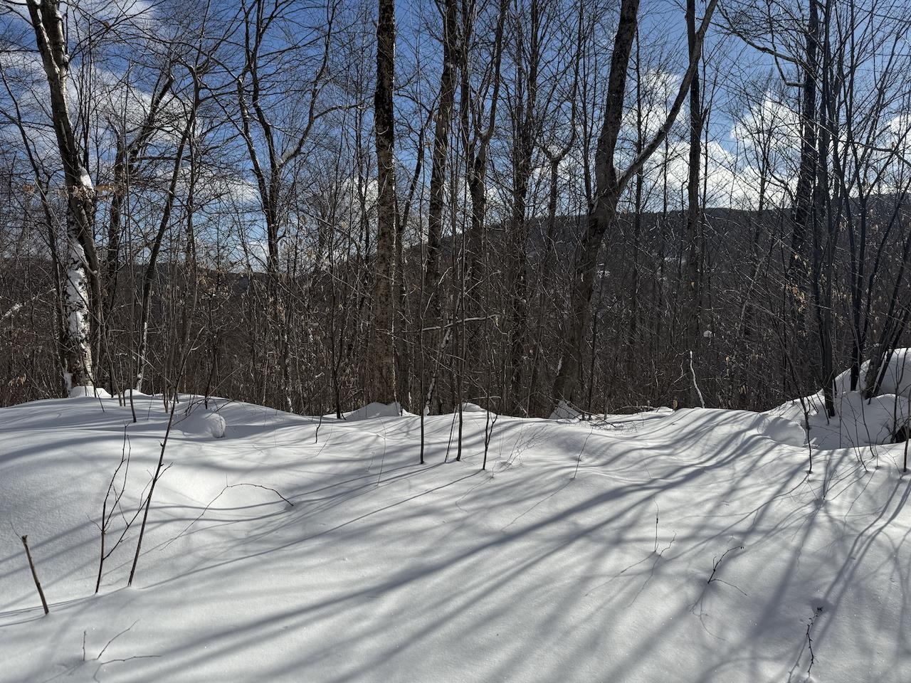 S-1c Great Roaring Brook Road