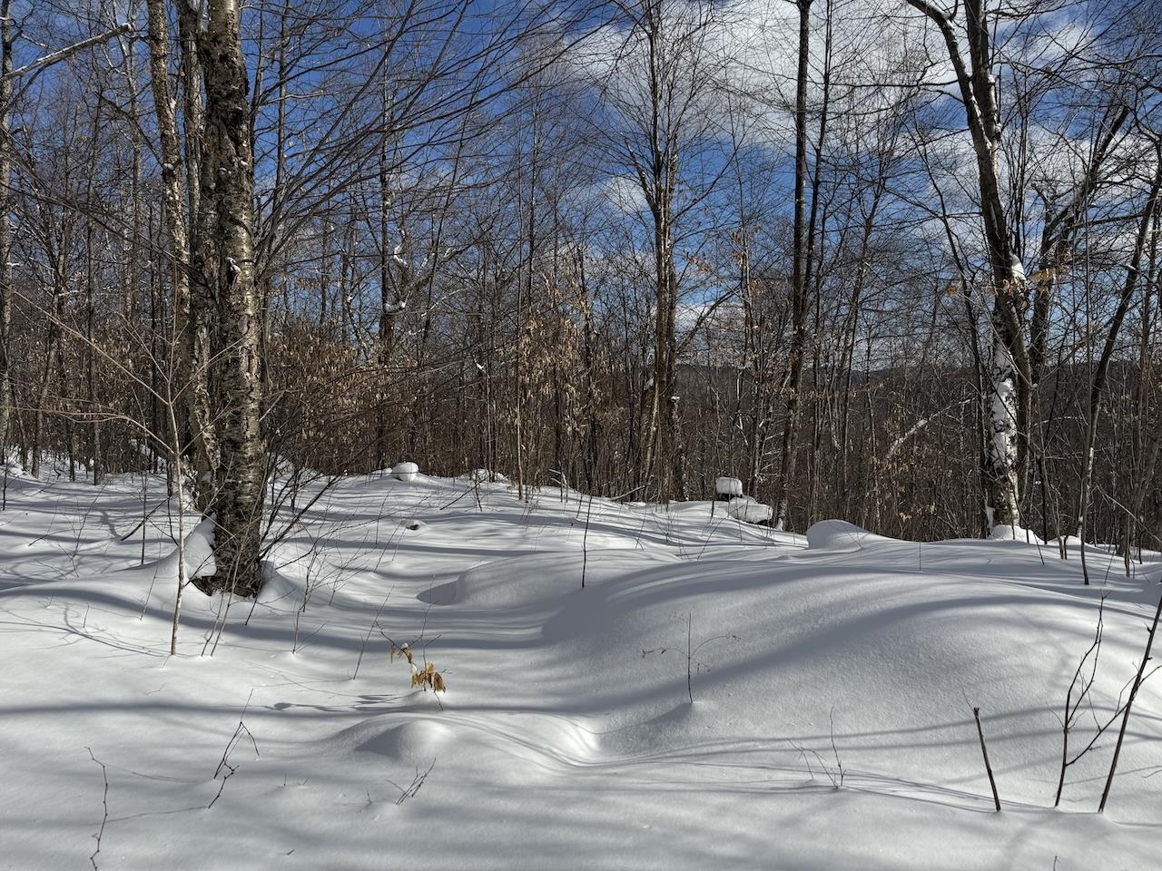 S-1c Great Roaring Brook Road