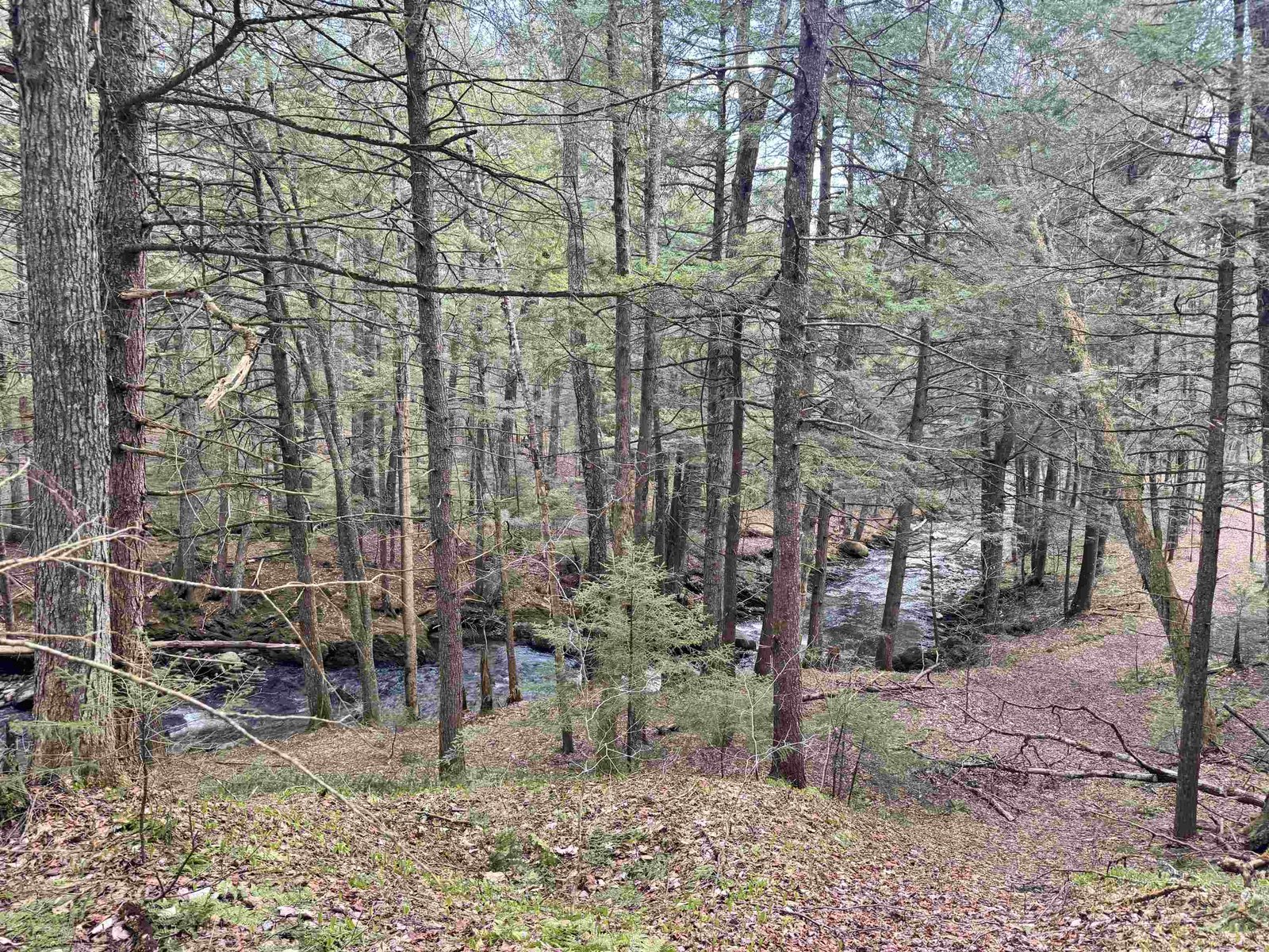 TBD Buck Hill Road