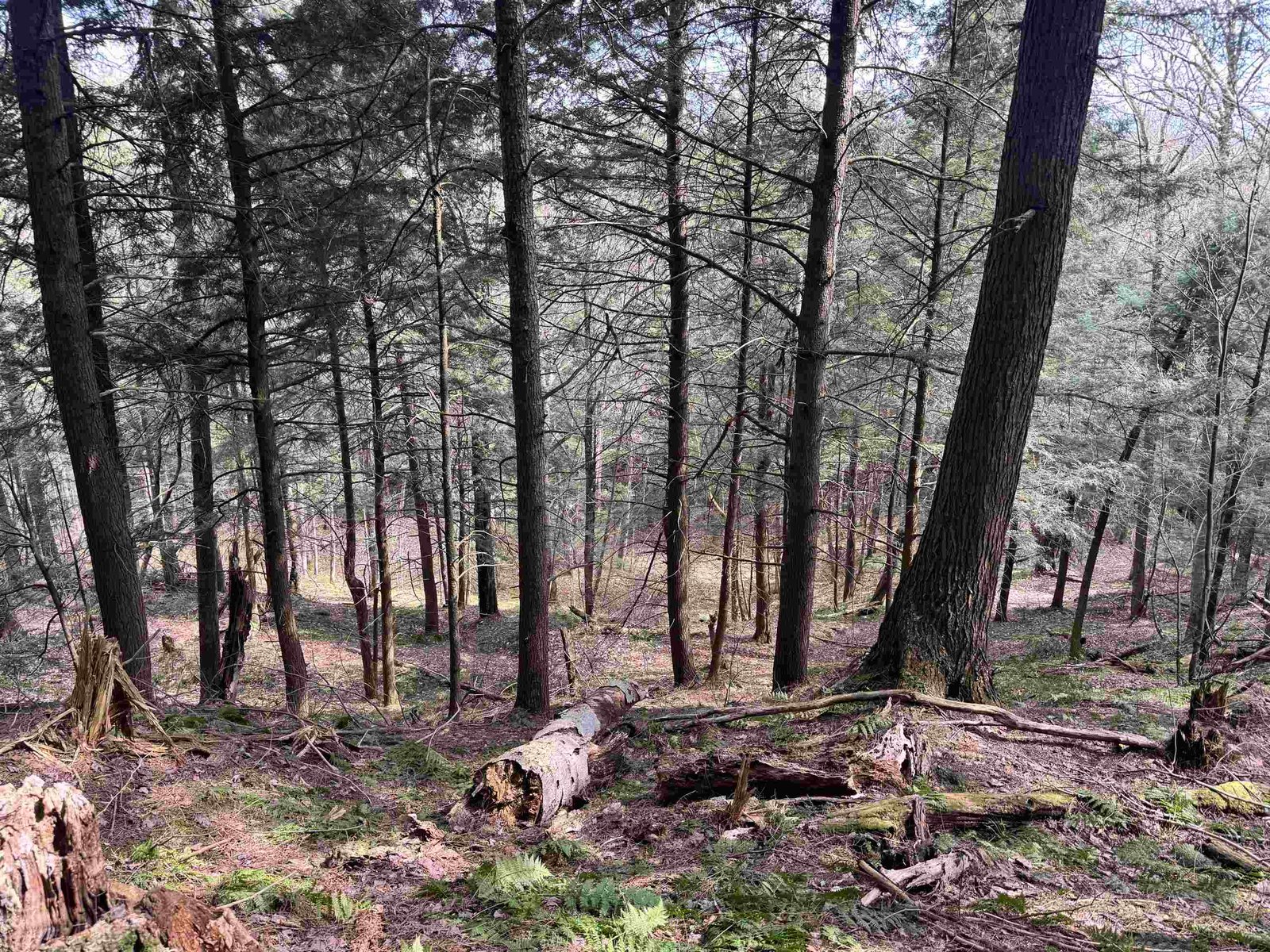 TBD Buck Hill Road