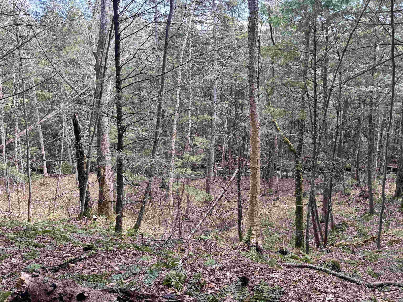 TBD Buck Hill Road