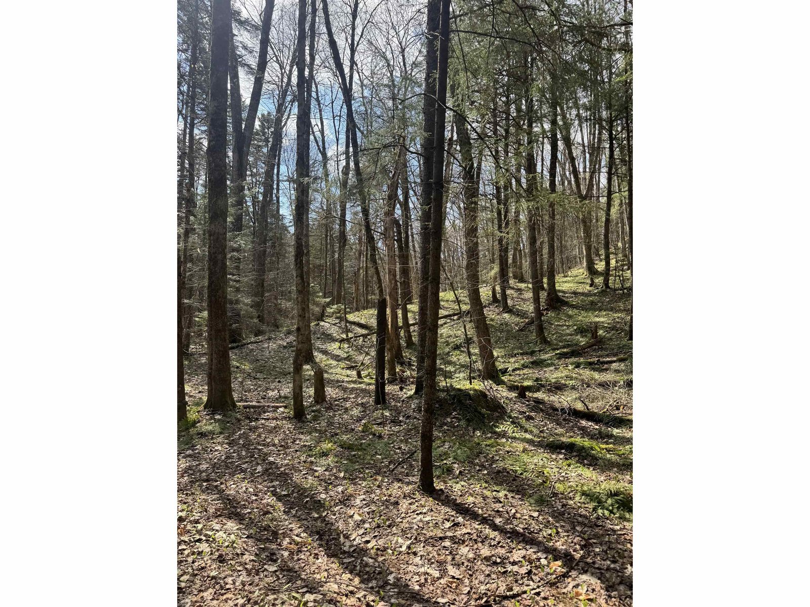 TBD Buck Hill Road