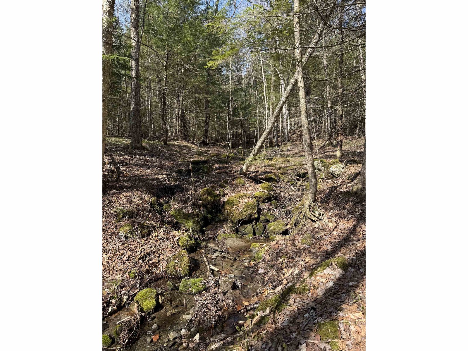 TBD Buck Hill Road