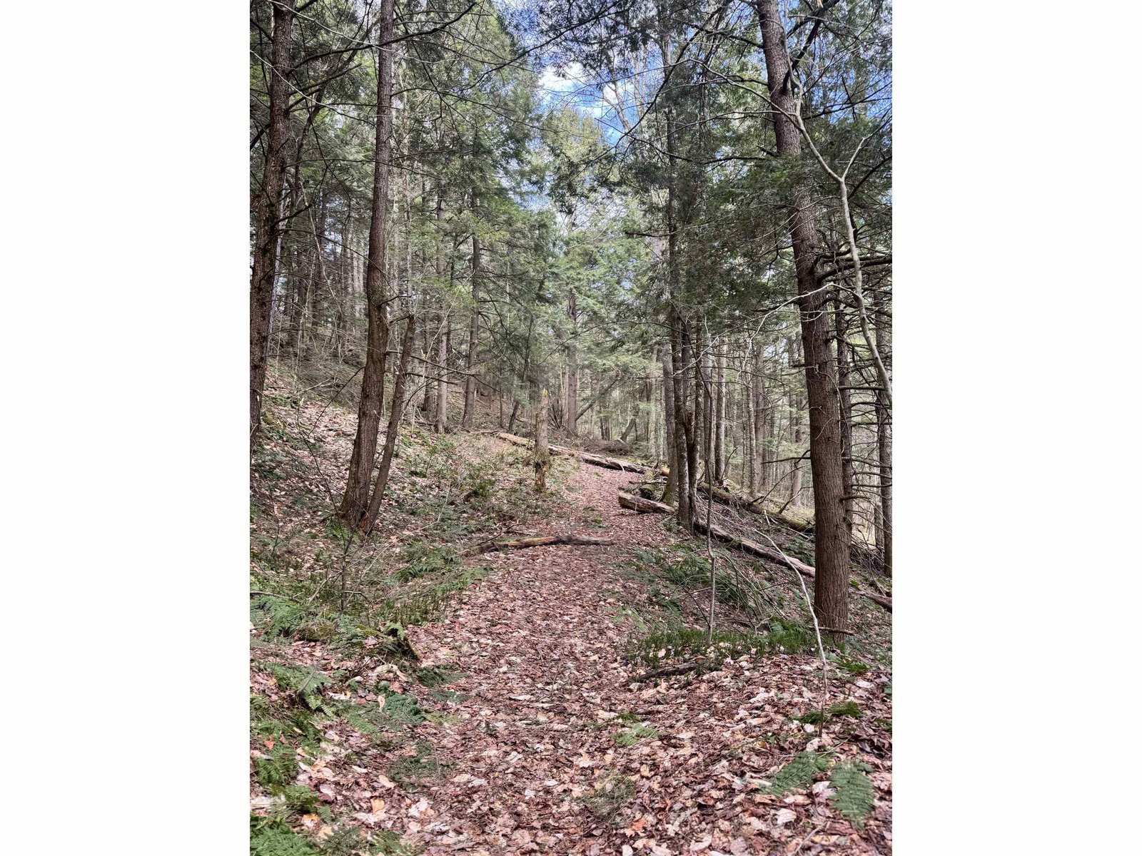 TBD Buck Hill Road