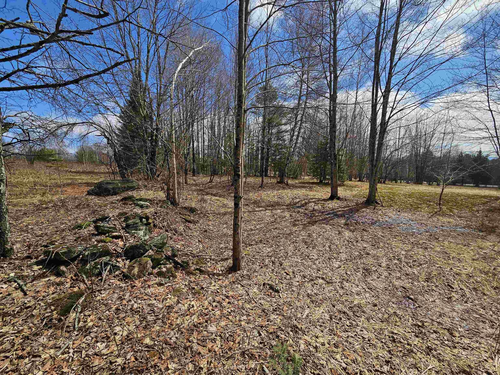 Stone wall property line