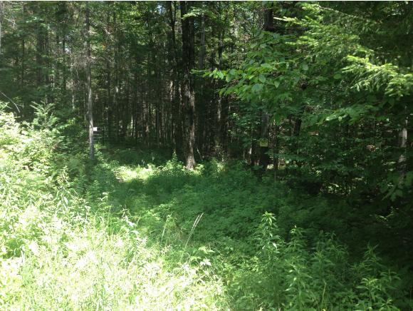 TBD East Bear Swamp Road
