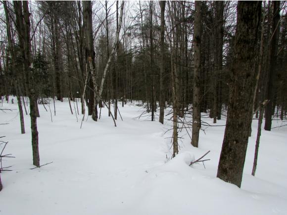 TBD Elmore Pond Road