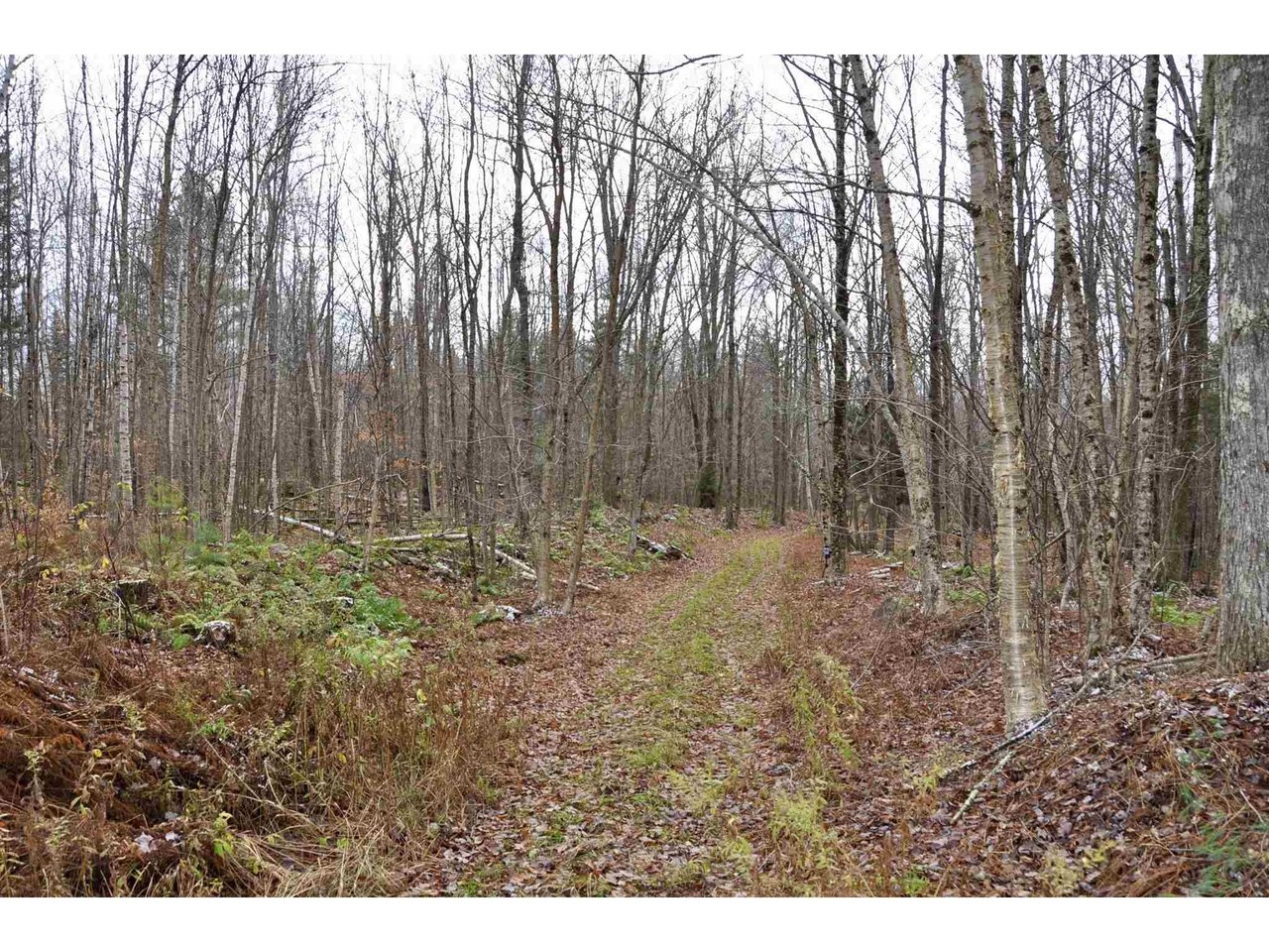 TBD Fire Brook Road