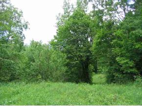 tbd Goshen-Ripton Road