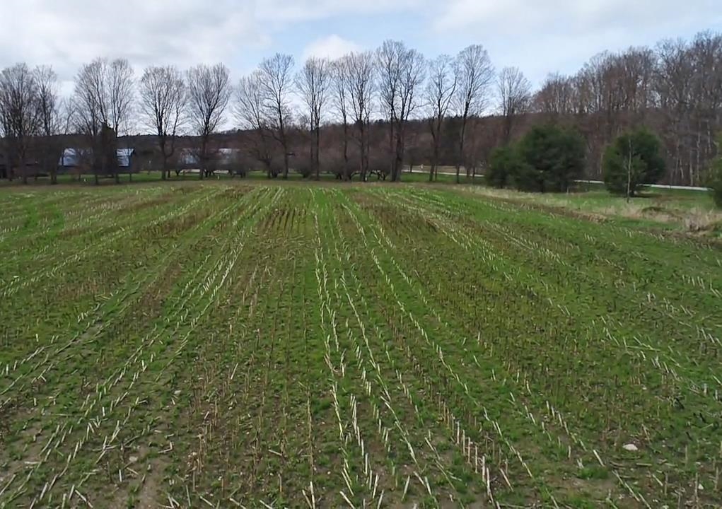 Eastern boundary looking west