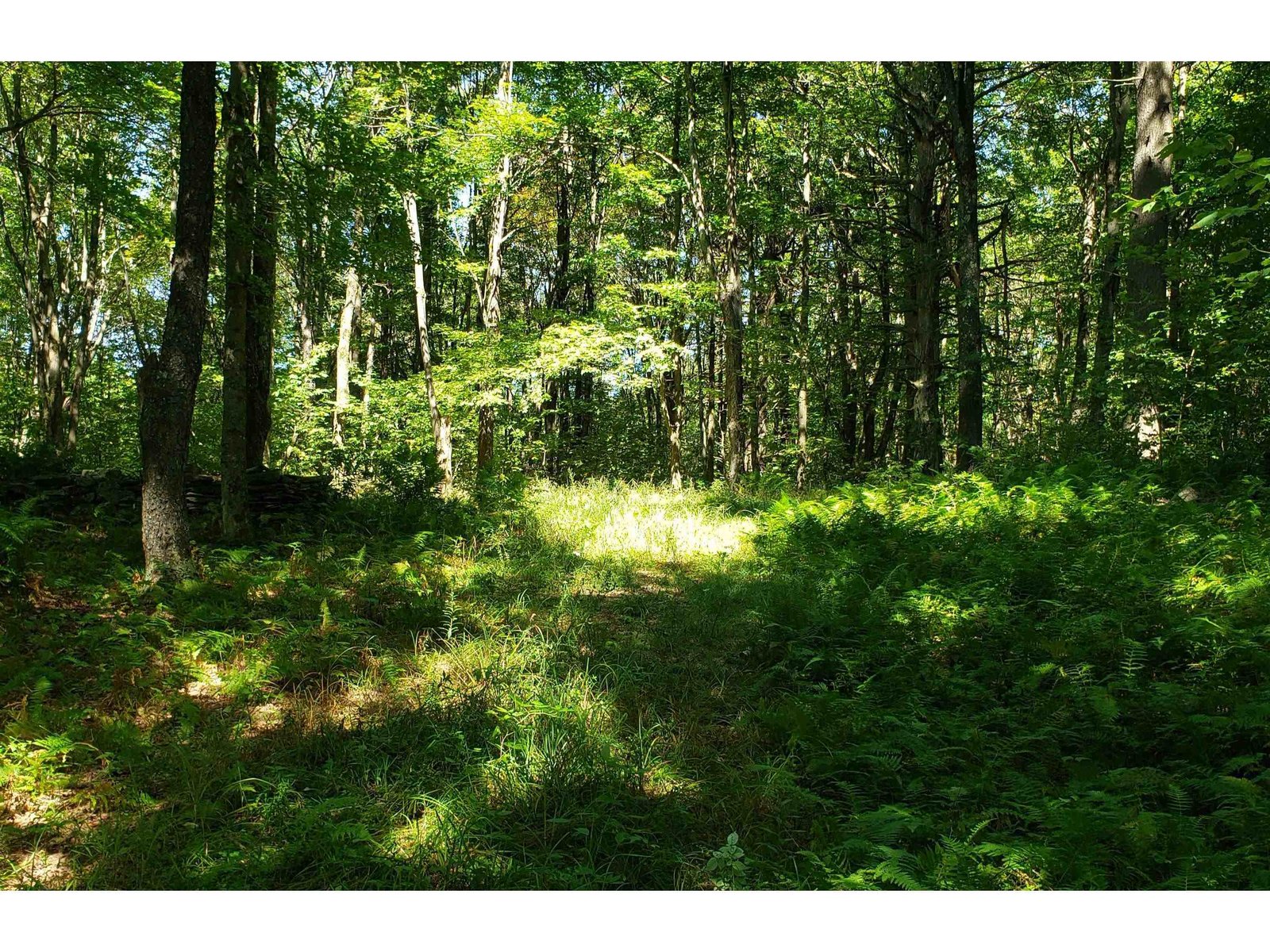 TBD Hill West Road