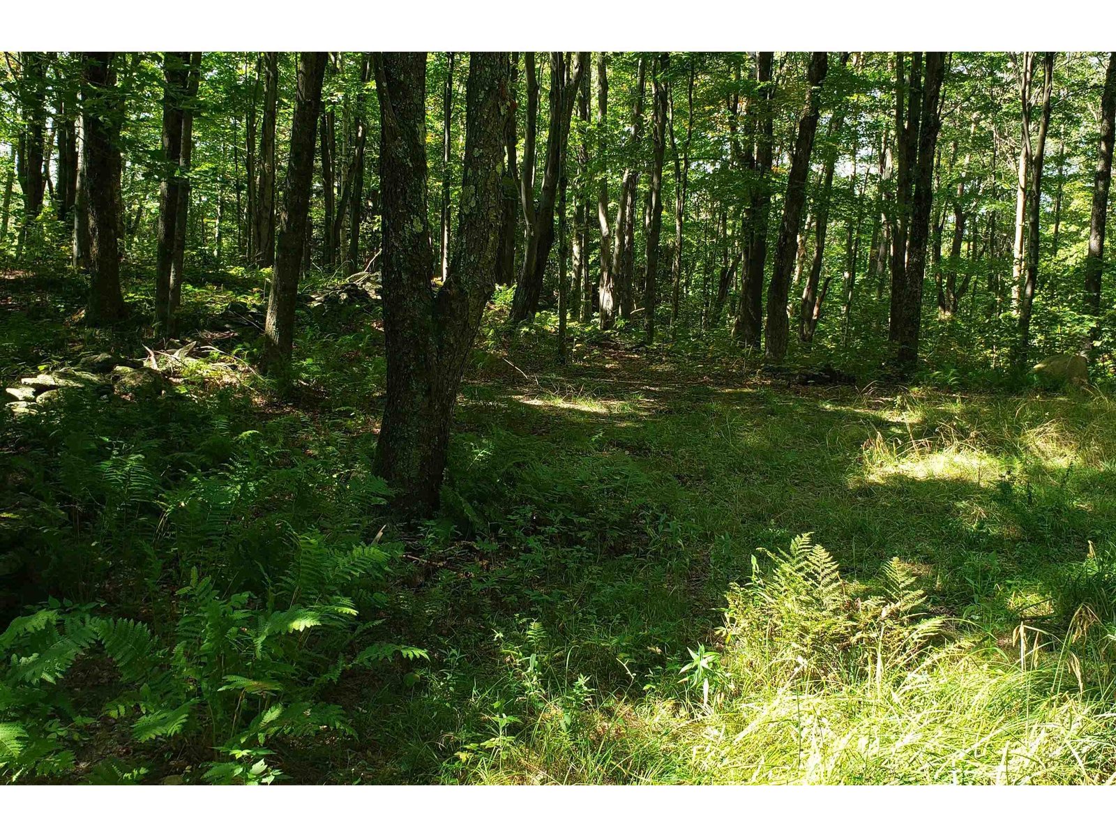 TBD Hill West Road
