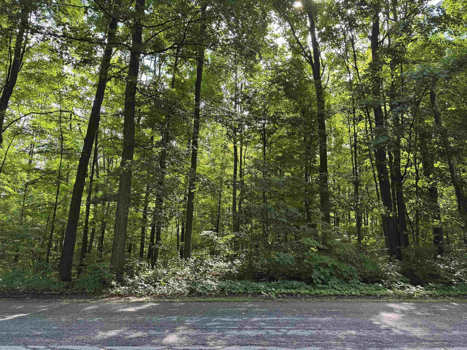 Holman Road