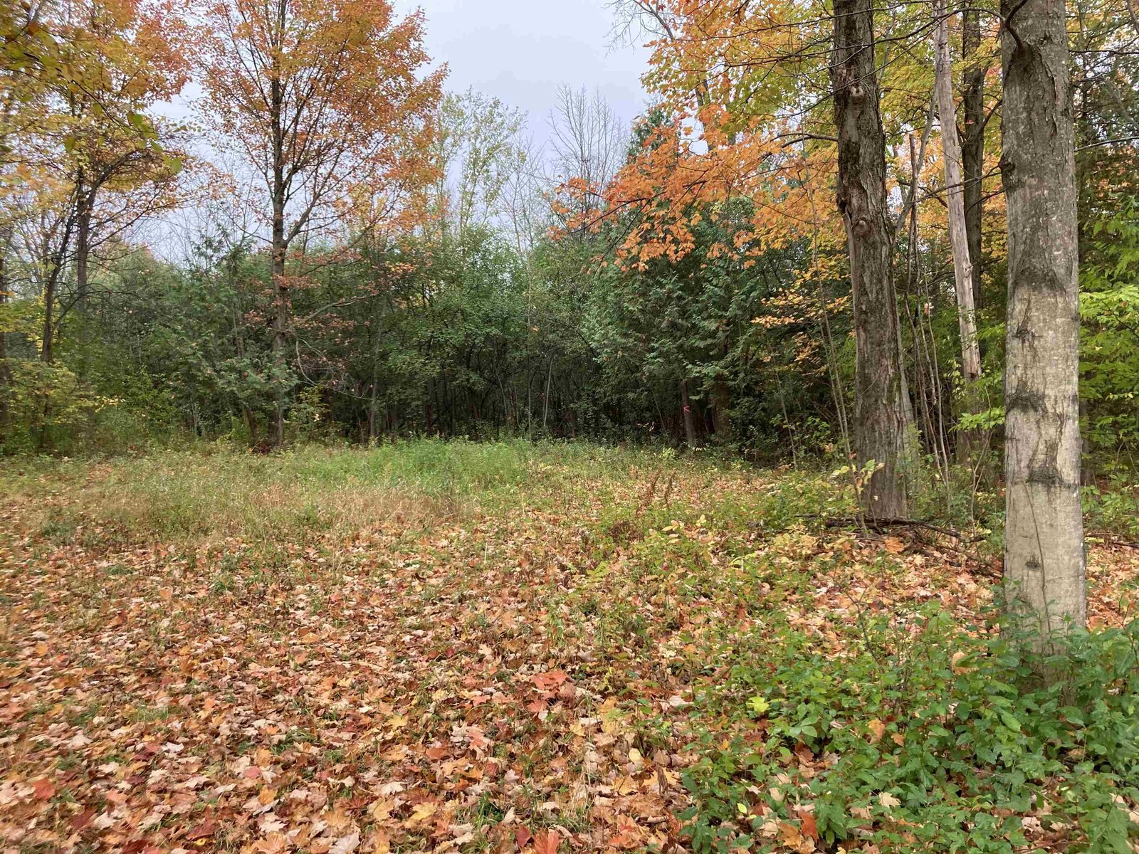 TBD Ironwood Road
