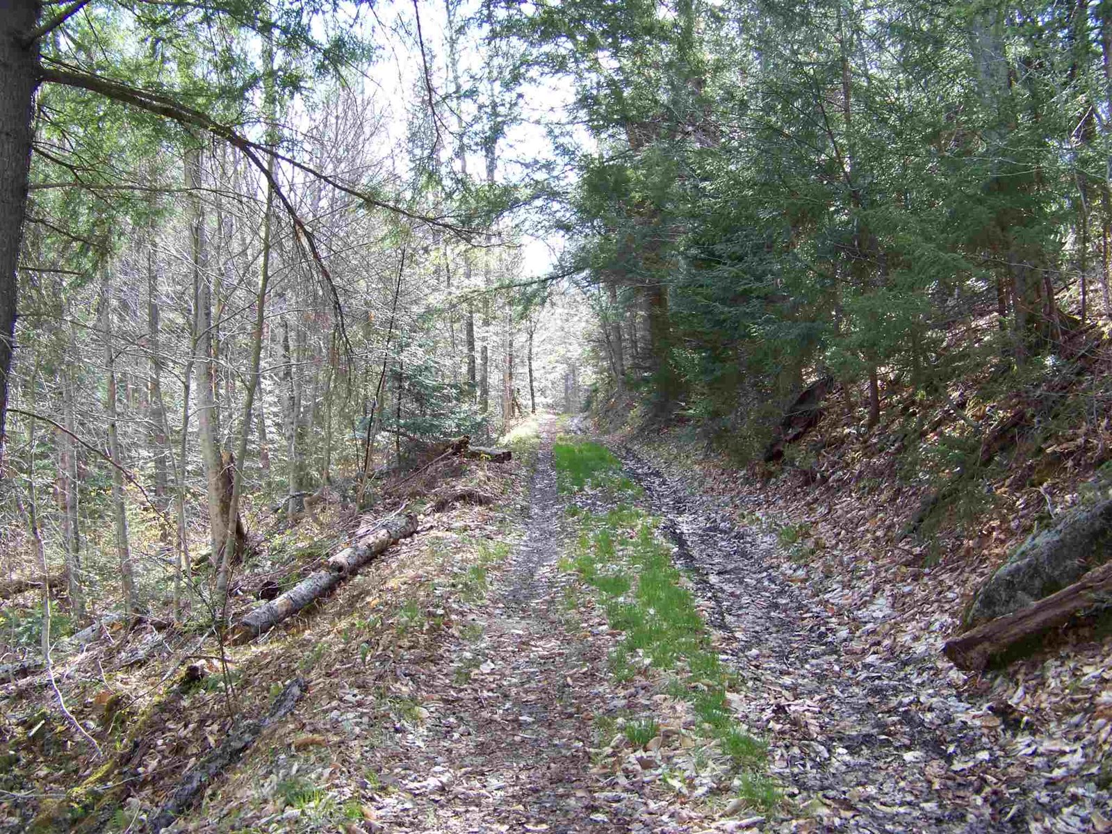 tbd Kennedy Road