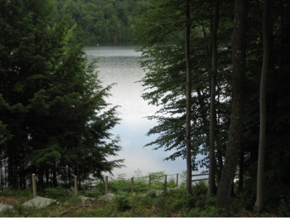 tbd Lake Dunmore Rd